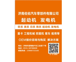 西藏944280521550发电机D11-102-30
